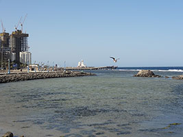 Seagull Jeddah